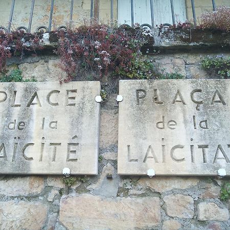 Au Pied Du Chateau - 5 A 11 Personnes - Baignade-Canoe-Piste Cyclable A 100 M Castelnaud La Chapelle Kültér fotó