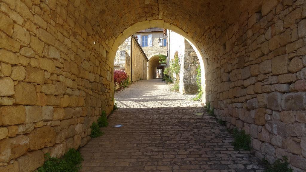 Au Pied Du Chateau - 5 A 11 Personnes - Baignade-Canoe-Piste Cyclable A 100 M Castelnaud La Chapelle Kültér fotó