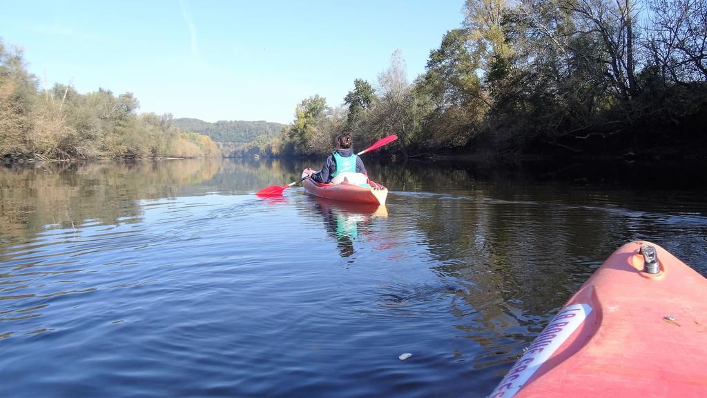 Au Pied Du Chateau - 5 A 11 Personnes - Baignade-Canoe-Piste Cyclable A 100 M Castelnaud La Chapelle Kültér fotó