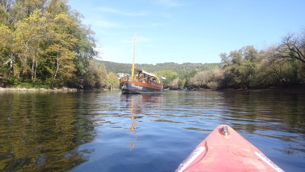 Au Pied Du Chateau - 5 A 11 Personnes - Baignade-Canoe-Piste Cyclable A 100 M Castelnaud La Chapelle Kültér fotó