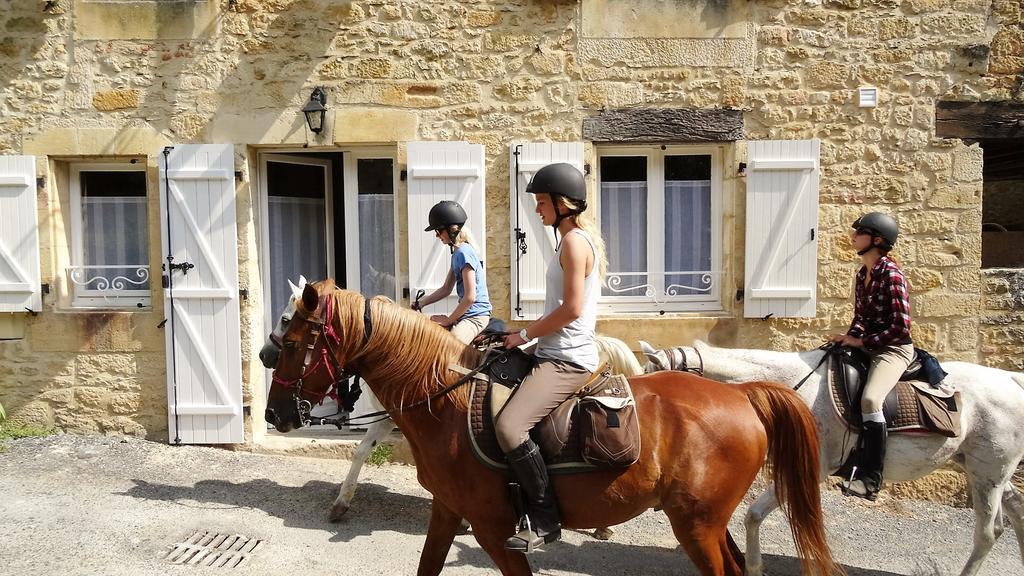 Au Pied Du Chateau - 5 A 11 Personnes - Baignade-Canoe-Piste Cyclable A 100 M Castelnaud La Chapelle Kültér fotó